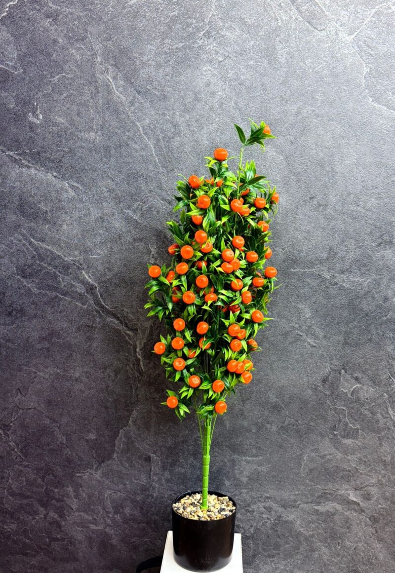 WhatsApp Image 2025-11-05 at 12.02.24 PM5 Oranje bessen