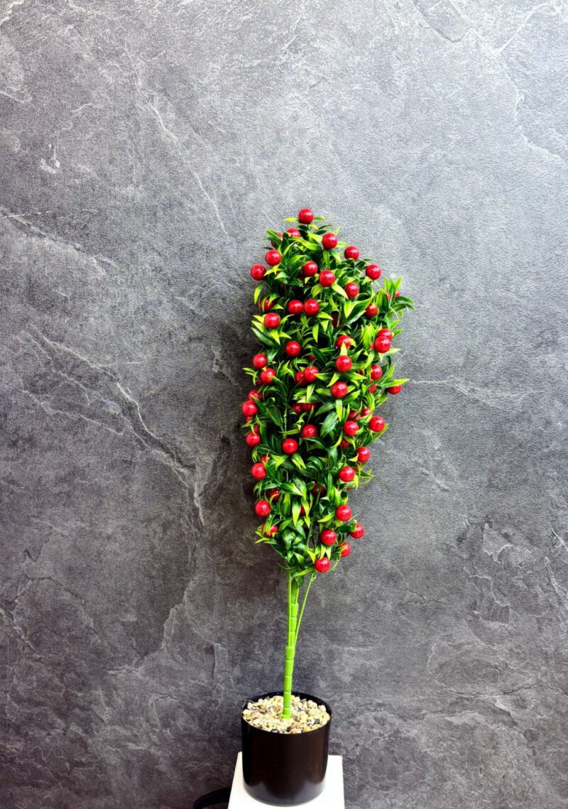 WhatsApp Image 2025-11-05 at 12.02.25 PM7 Rode moerbeiboom