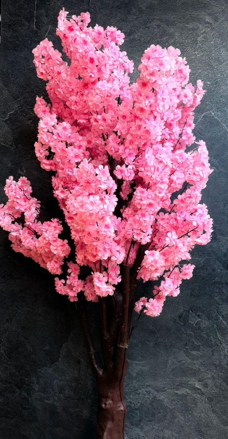 WhatsApp Image 2025-11-05 at 12.02.26 PM11 Sakura