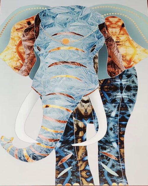 WhatsApp Image 2025-05-24 at 14.05.38_2e4abad6 PVC Wandpaneel-ELEPHANT-COLORFUL-
